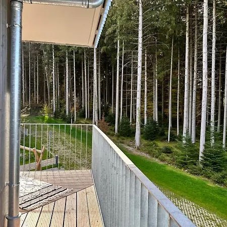 Waldblick